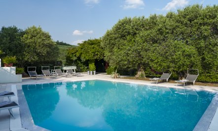 Elegant Olive Grove Retreat