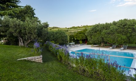 Elegant Olive Grove Retreat 3