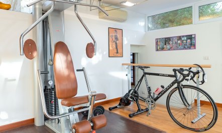 Elegant Olive Grove Retreat 2