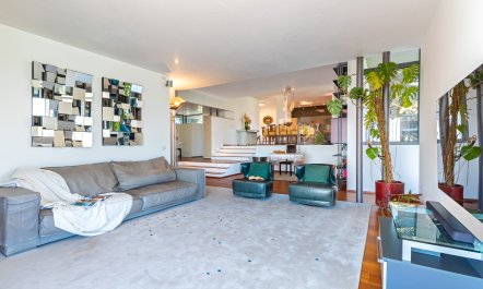 Elegant Olive Grove Retreat 5