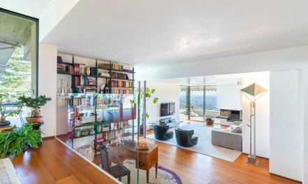 Elegant Olive Grove Retreat 6