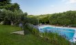 Elegant Olive Grove Retreat 3