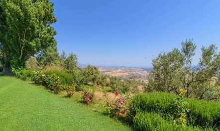 Serenity Retreat 4