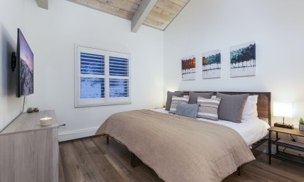 Alpine Vista 4
