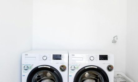 The Tranquil Oasis 4