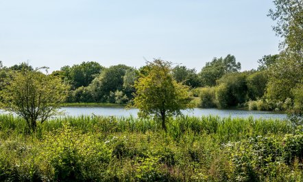 The Cotswold Lodge 1