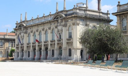 Iconic Trainer 8