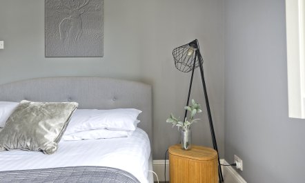 The Leafy Haven 6