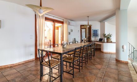 Maracalagonis Muse 3