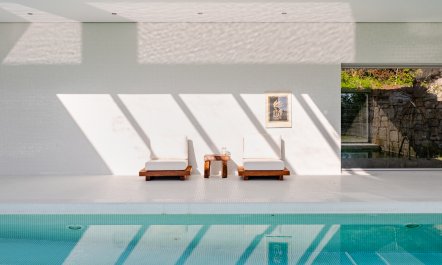 Regrowth & Rebirth 1