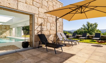 Regrowth & Rebirth 4