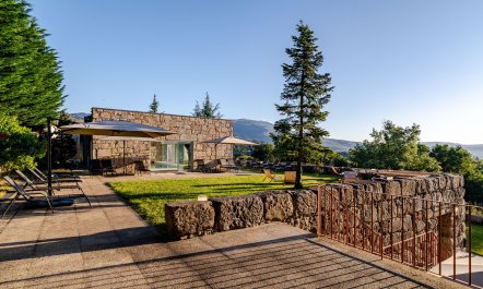 Regrowth & Rebirth 2