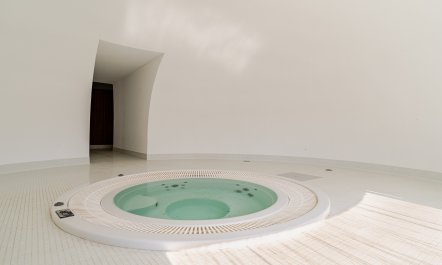 Regrowth & Rebirth 9