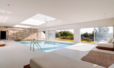 Regrowth & Rebirth 7