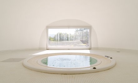 Regrowth & Rebirth 8