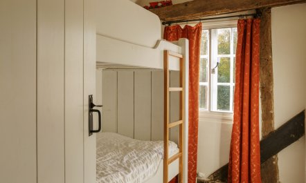 The Old Apple Tree 9