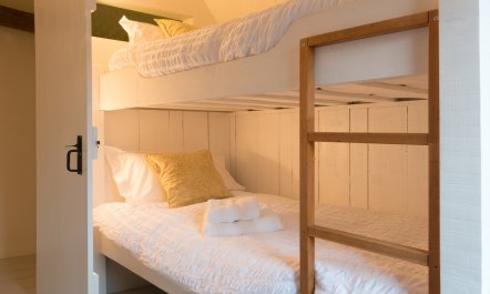 The Old Apple Tree 1