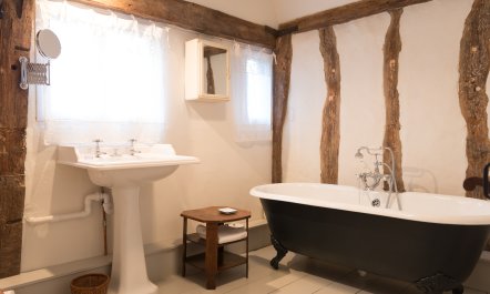 The Old Apple Tree 0