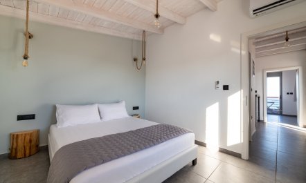 Tradition Reimagined 1