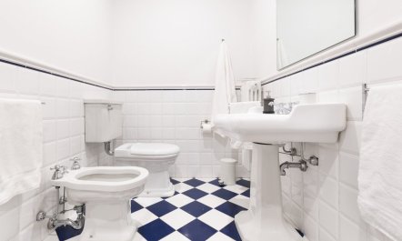 The Florentine Light 1