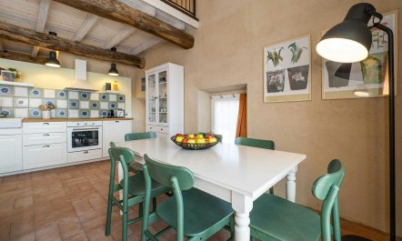 Pink Frizzled Hair 0