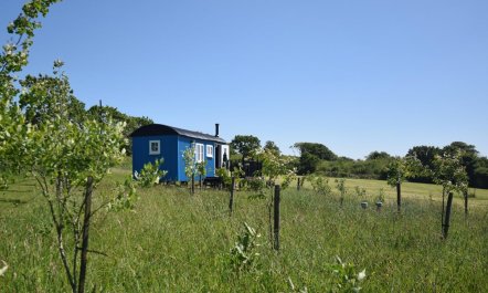 1 Bed in Beaworthy 8