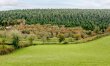 4 Bed in Gunnislake 4