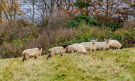 2 Bed in Doncaster 2