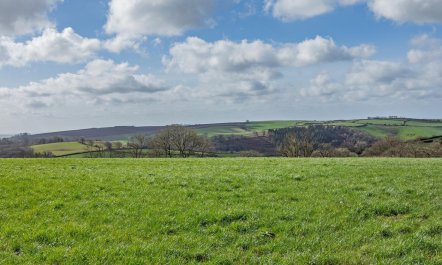 1 Bed in South Molton 7