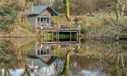 3 Bed in Swansea 3