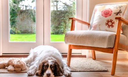 2 Bed in Brockenhurst 7