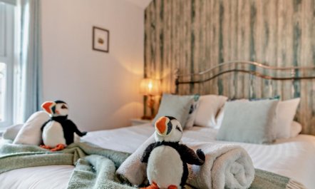 3 Bed in Seahouses 7