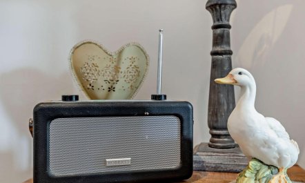 1 Bed in Ross-on-wye 4