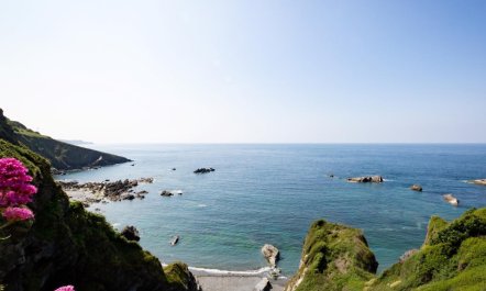 5 Bed in Ilfracombe 2