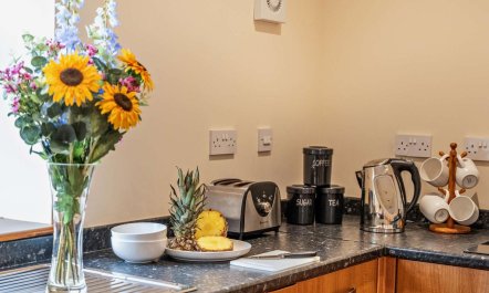 2 Bed in Bishop Auckland 2