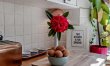3 Bed in Lydbrook 8