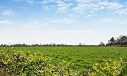 1 Bed in Bembridge 9