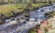 3 Bed in Bala 2