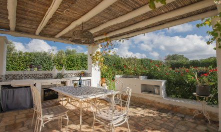 Pergola Picnic 4