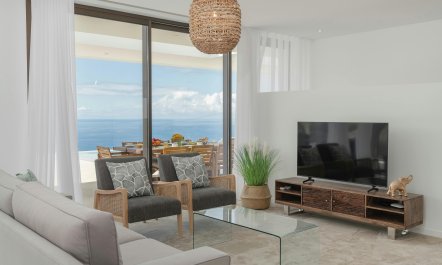 Tranquil Coast Villa 1