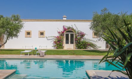 Ostuni Orchard 2