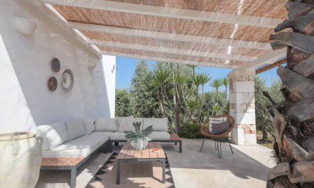 Ostuni Orchard 1