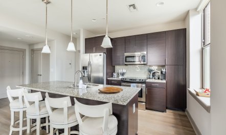 Sky-High Sanctuary 2