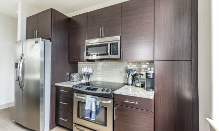 Sky-High Sanctuary 3