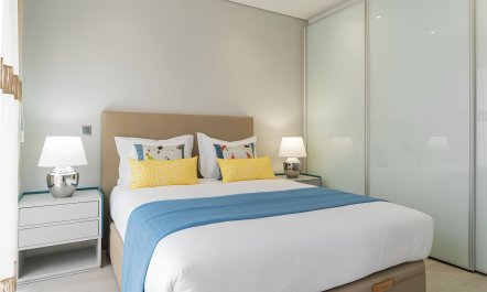 Portuguese Paradigm 2