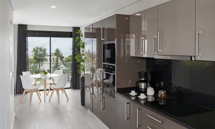 Portuguese Paradigm 1