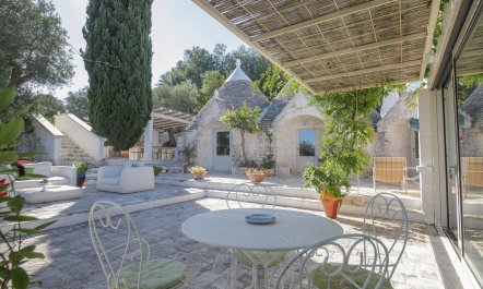 Olive Orchard Oasis 4