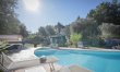 Olive Orchard Oasis 1