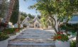 Olive Orchard Oasis 0