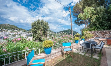 The Flower of Capri 4